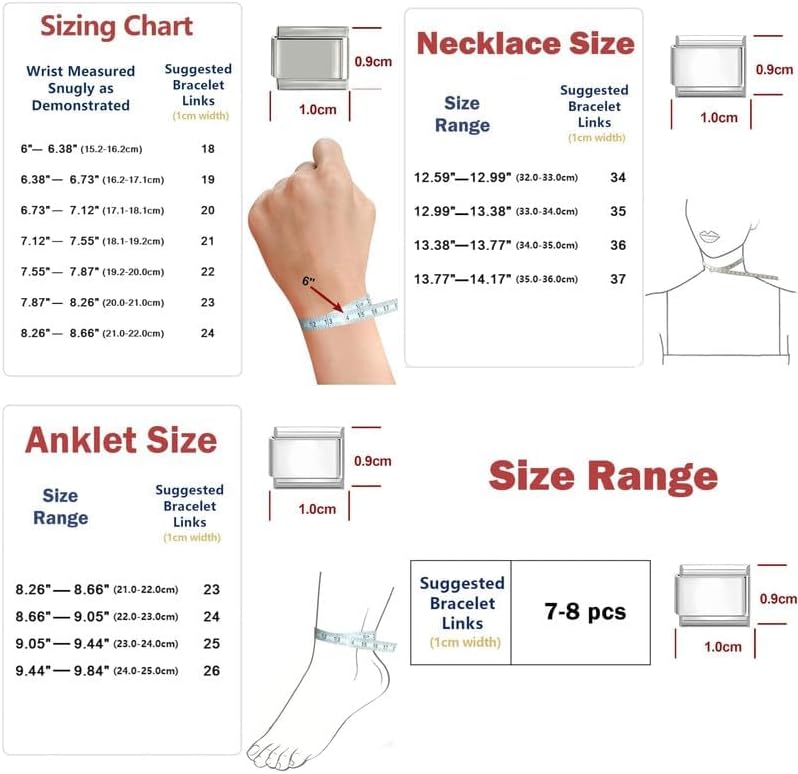 Loozykit Store Italian Charm Bracelet Sets with 1Pcs Start Bracelet,10Pcs Module Charms and Opening Tool DIY Removable Charms Stainless Steel Links Jewelry Gifts - Image 3